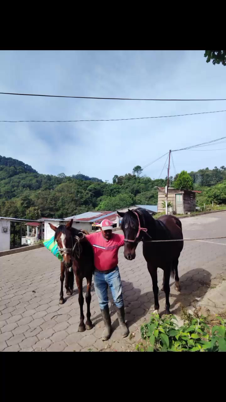 @Gerson sosa