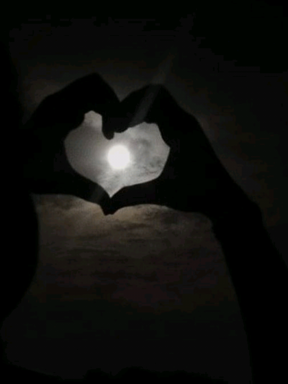 @Muna Tilahun 艾柏