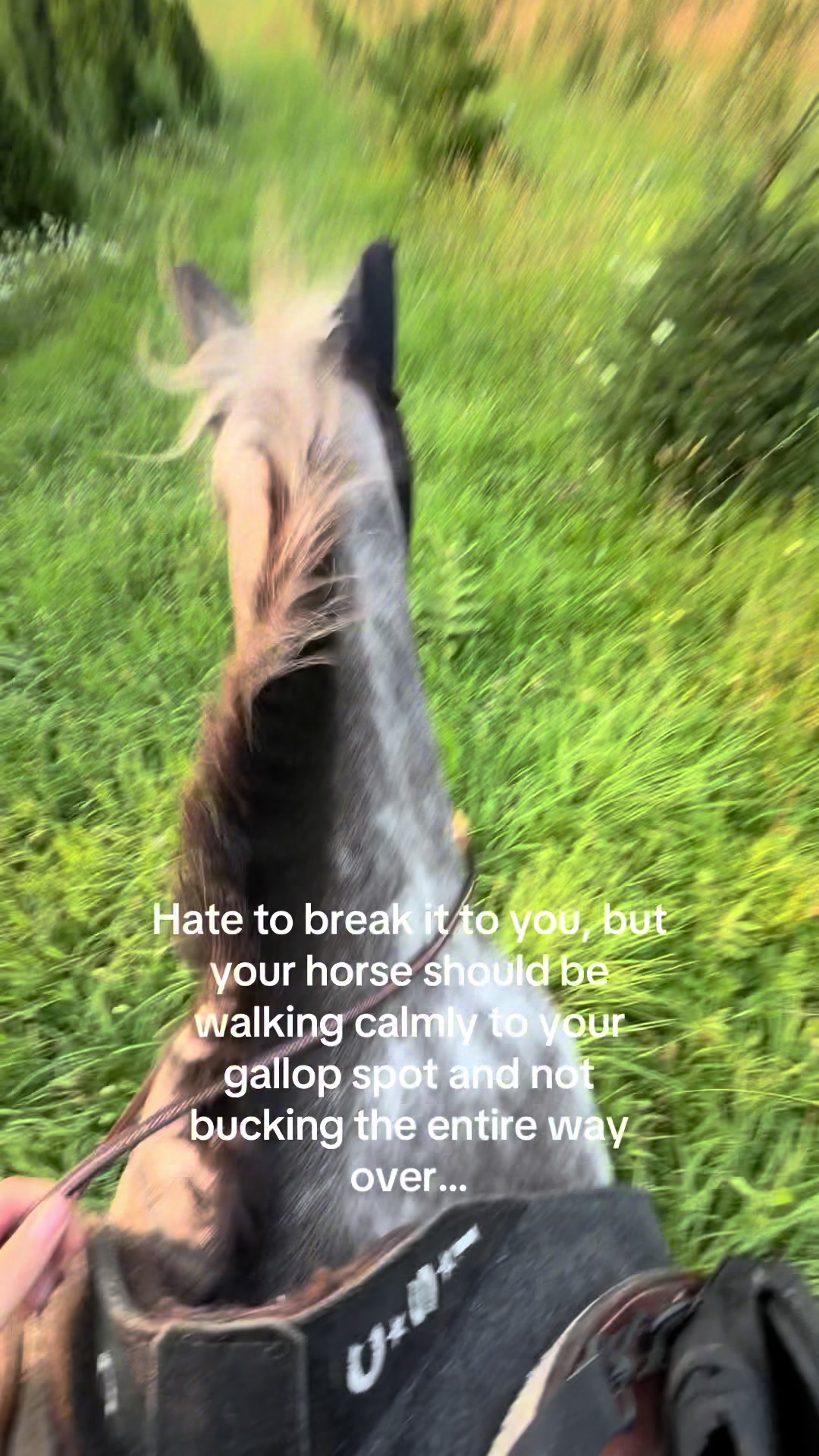 @𝔻𝔸𝕀𝕊𝕐