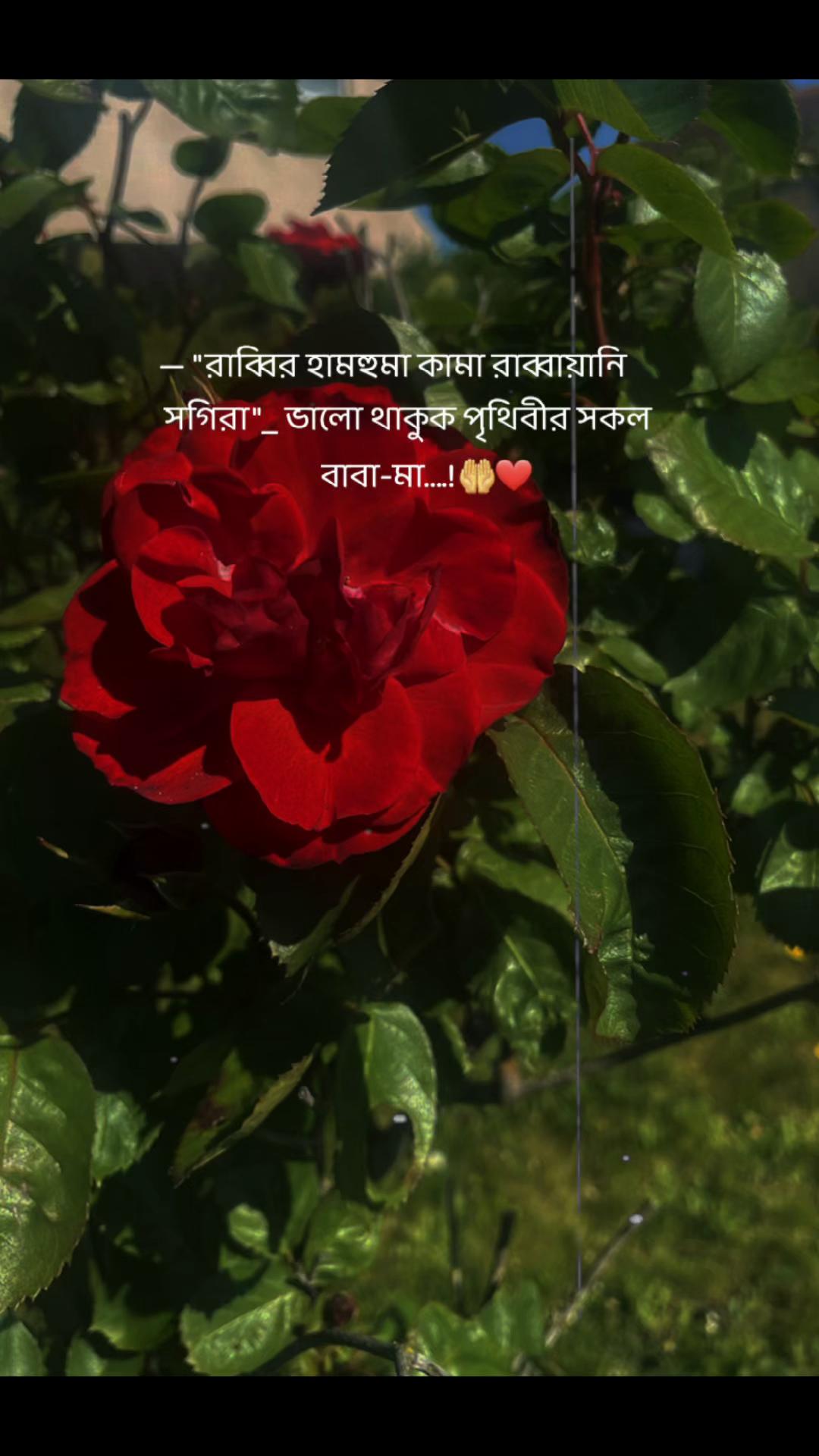 @✨ نازمین✨