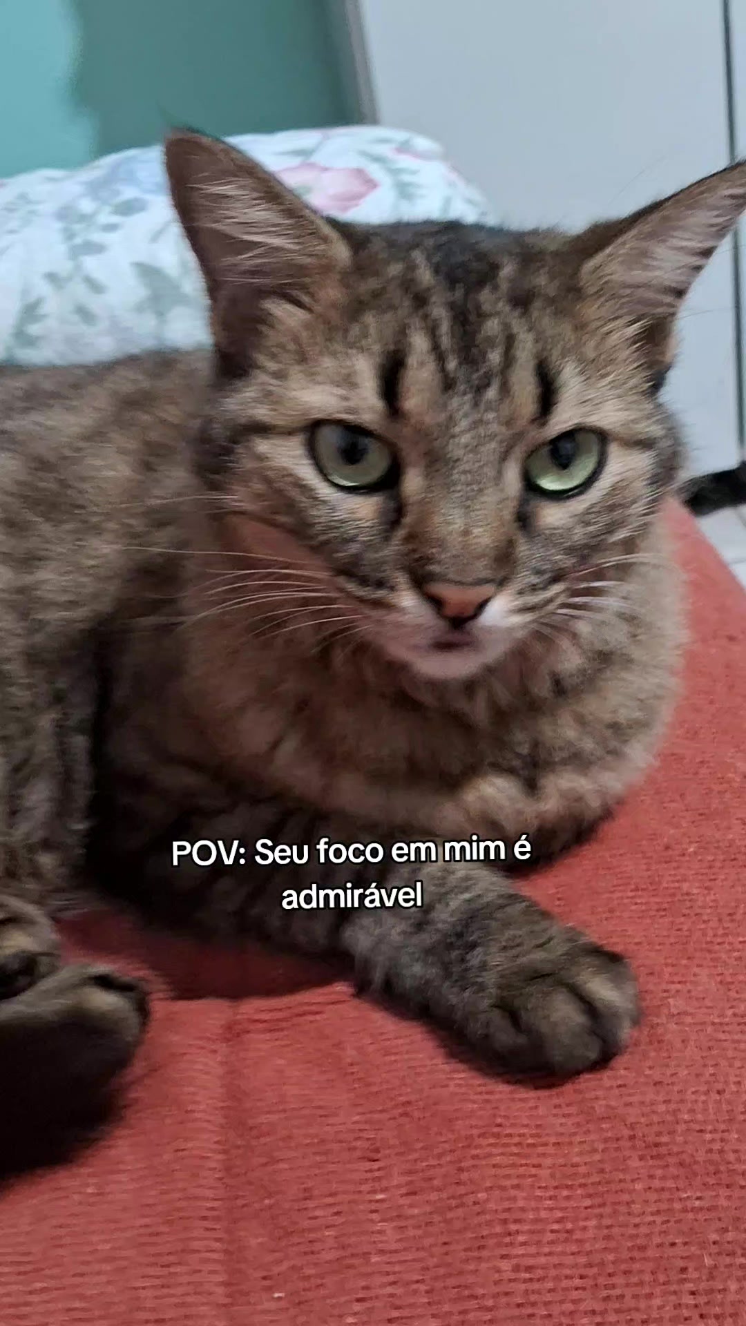 @lua