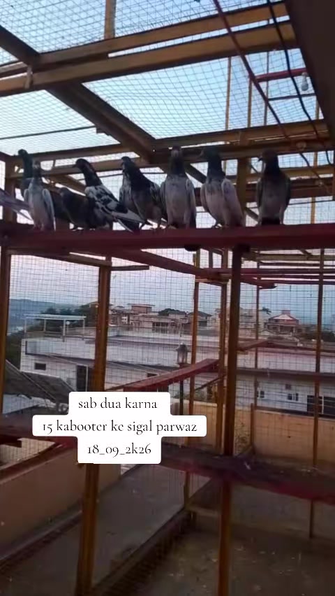 @🕊️SK🕊️✨