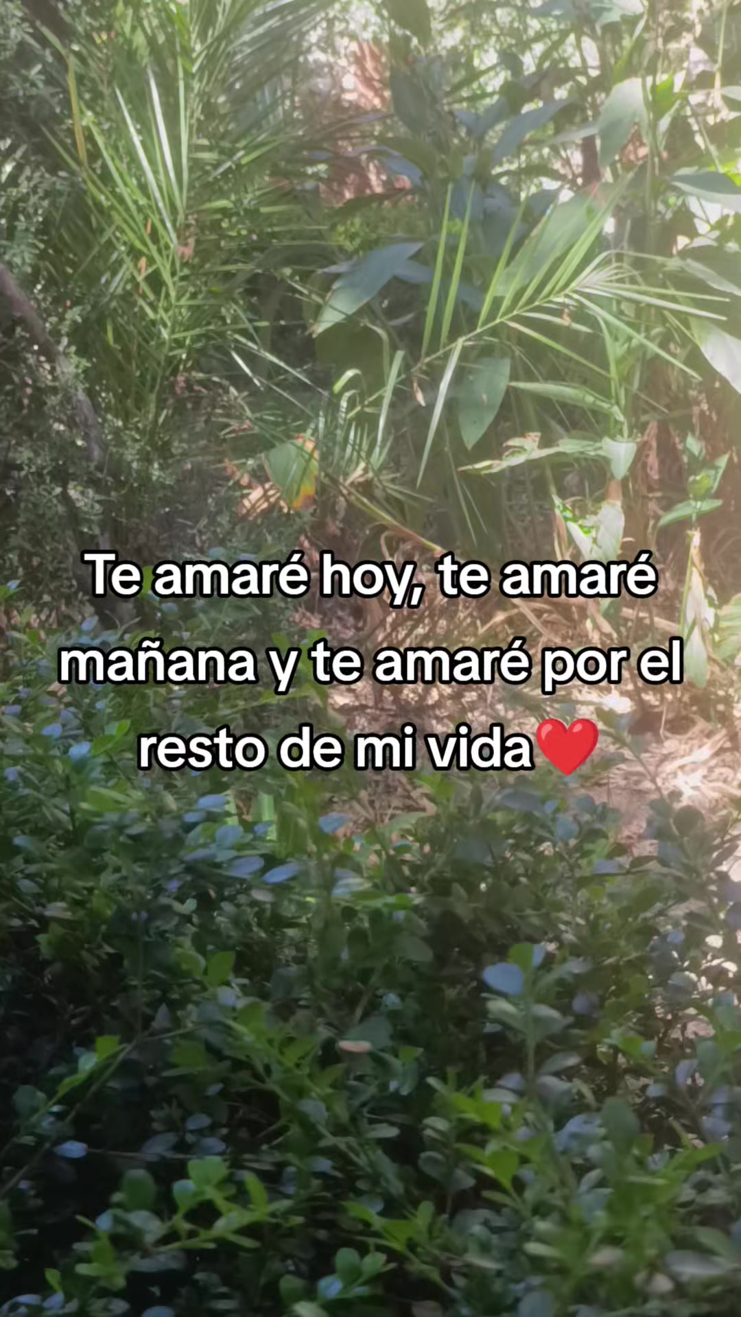 @Leslie DommWall