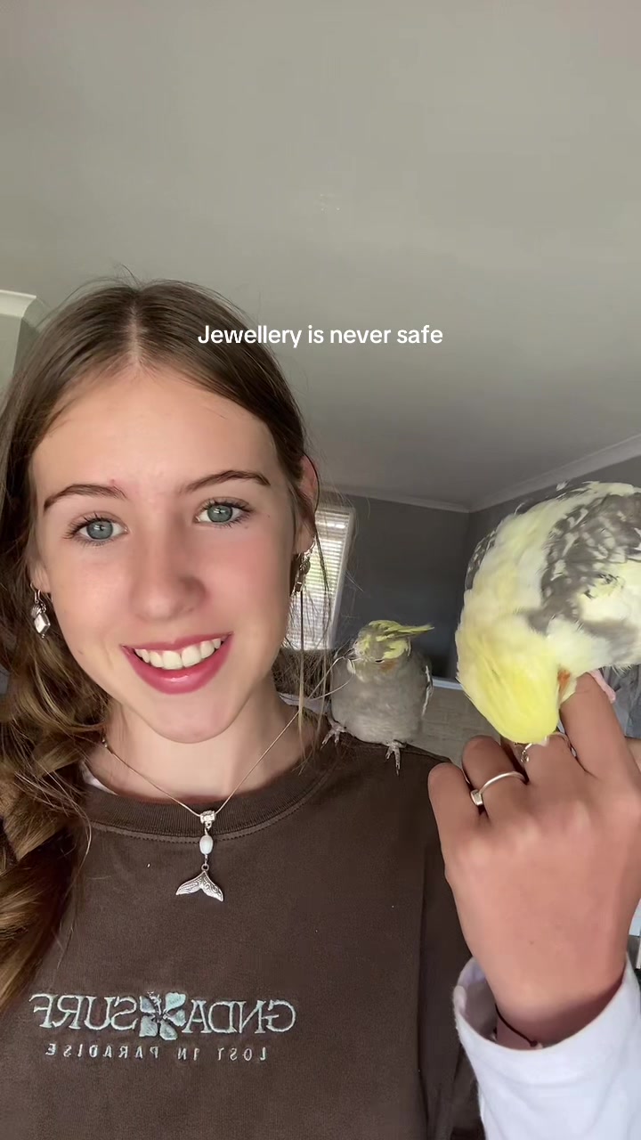 @mybirdjourney;)