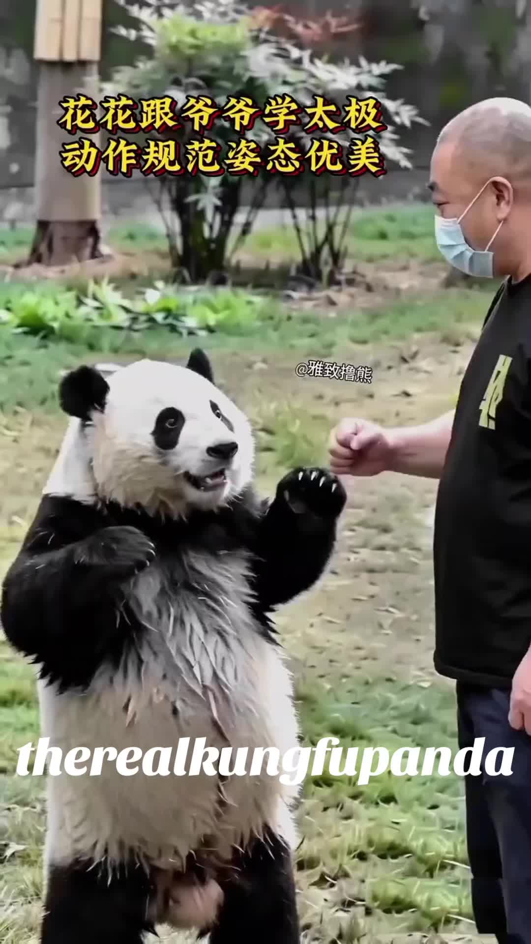 @Sham0z04