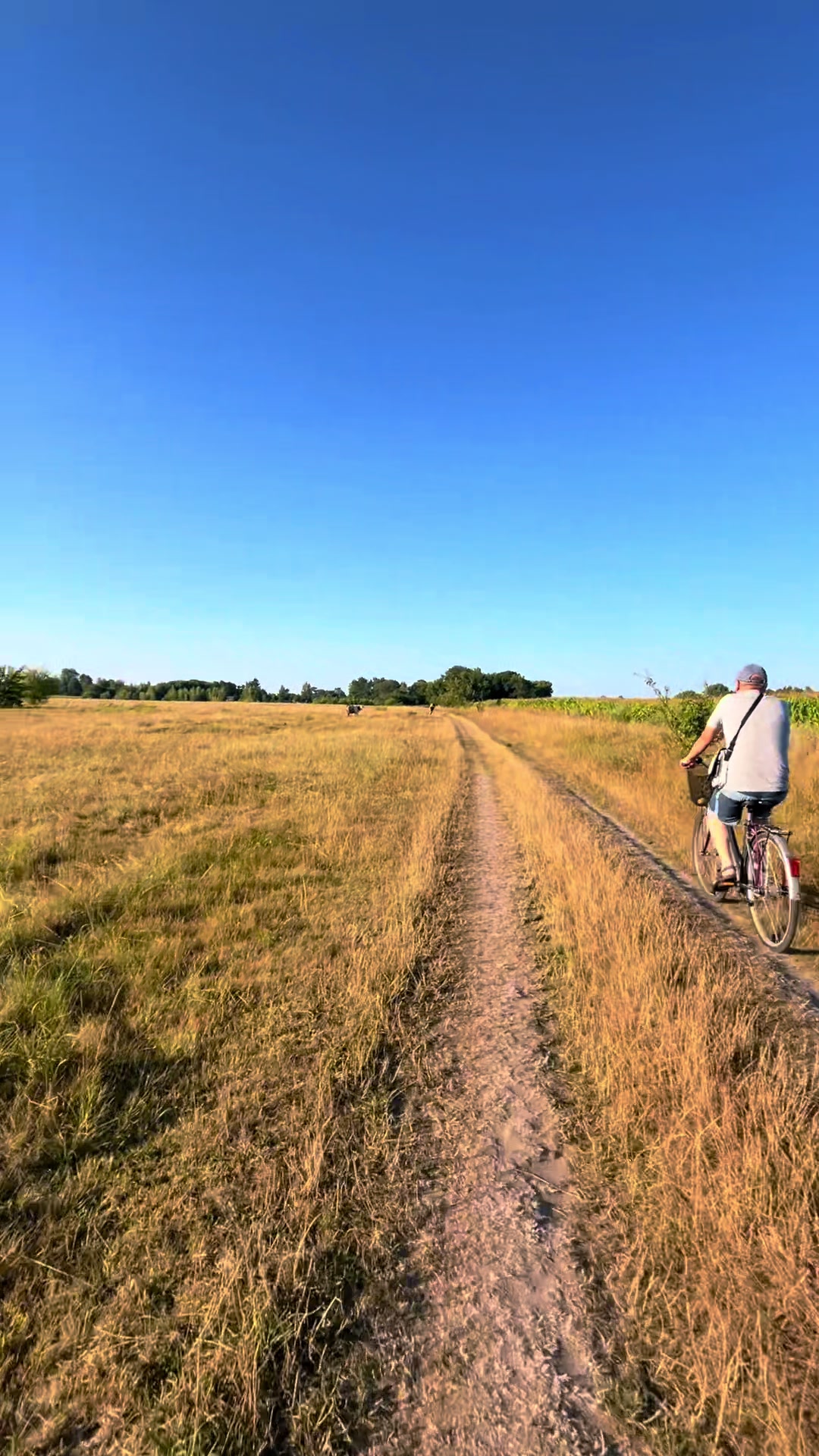 @Kateryna 🚴🏻♀️🌸