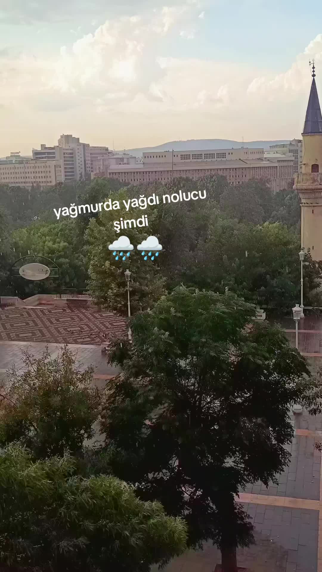 @zalim
