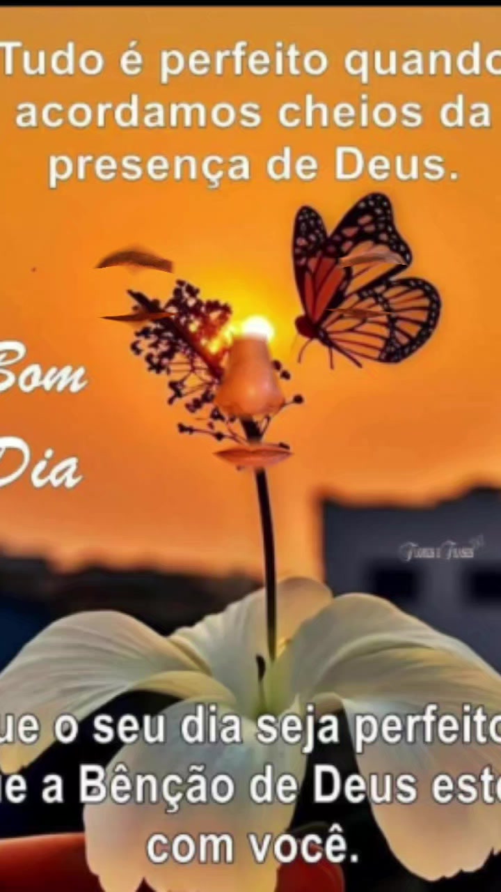 @Nadir Vieira Borazo ❤️🌹