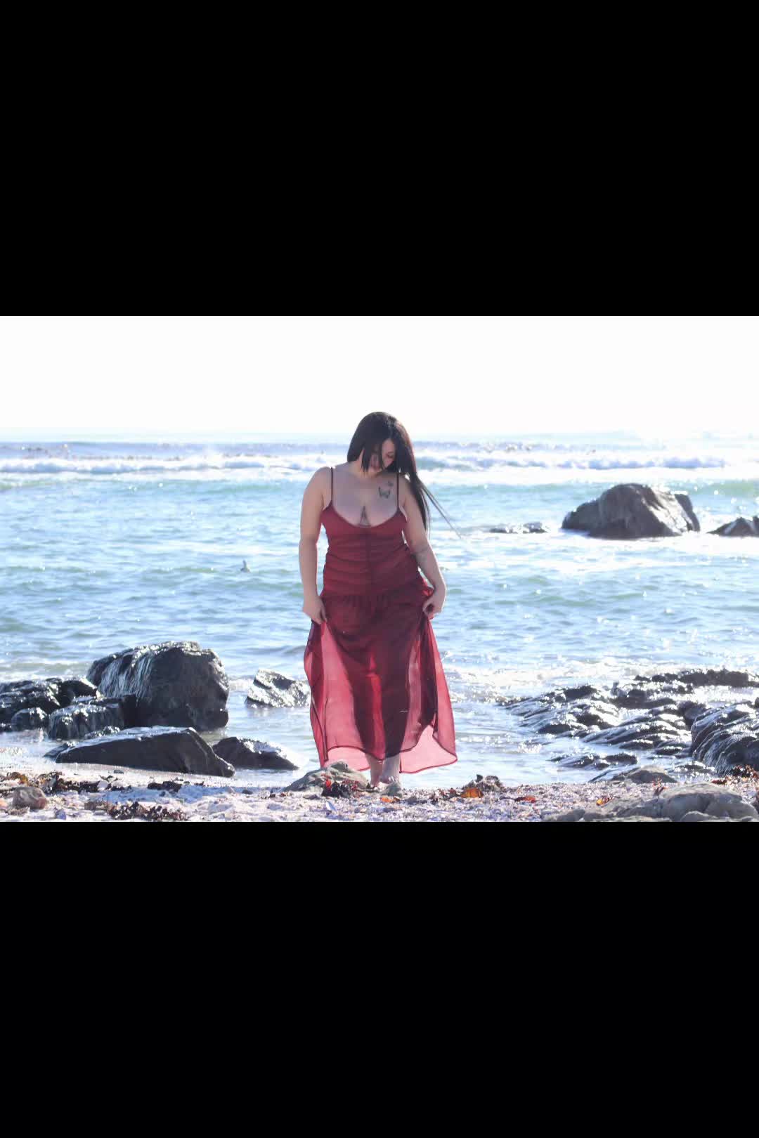 @waynedanielsphotography