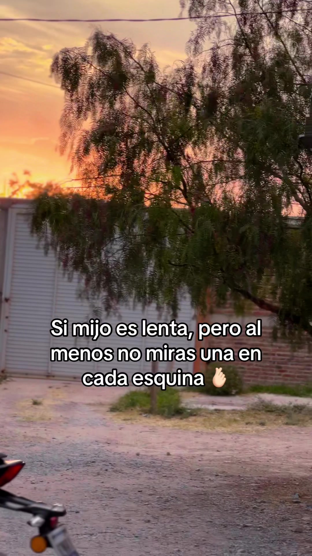 @𝐌𝐀𝐍𝐔𝐄𝐋