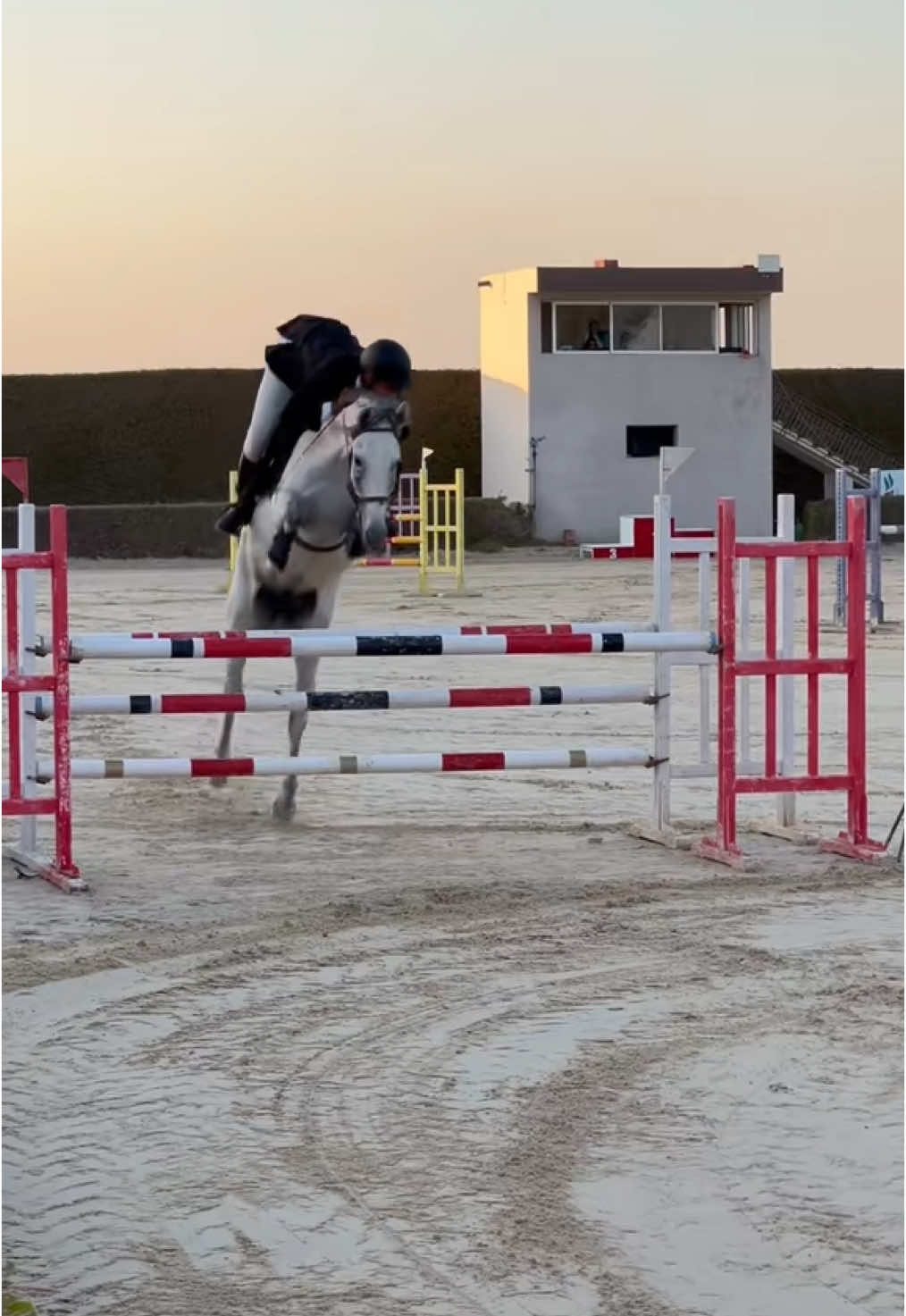 @Feres Ben Amor 🏇