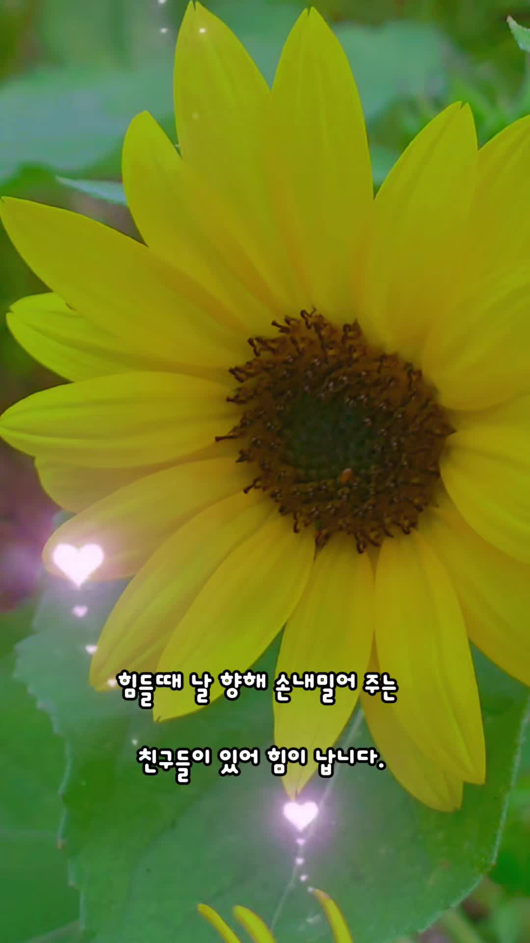 @๐ ๋ฐ๋ณด๋ฅผ์ฌ๋ํ์ธ๋ณด ๐