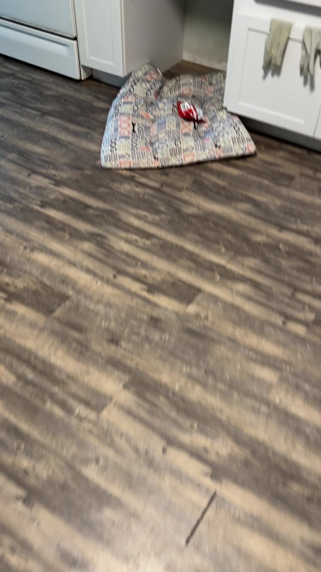 @Fi