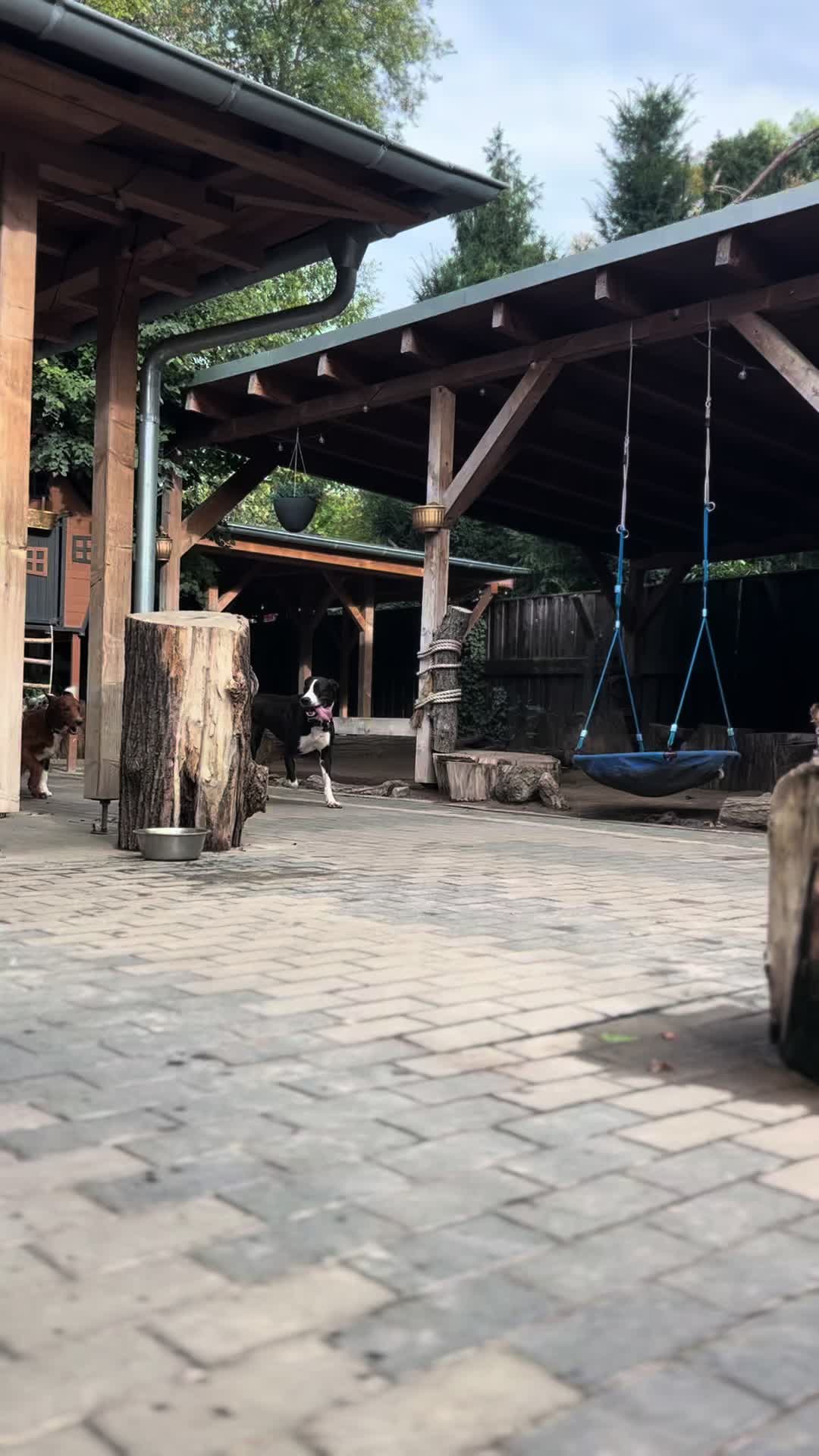 @Hunde- und Katzenpension