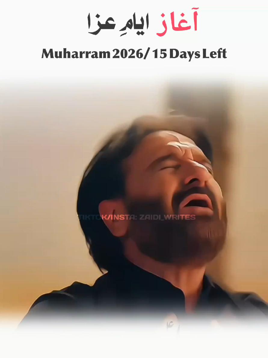 @Zaidi_Writes