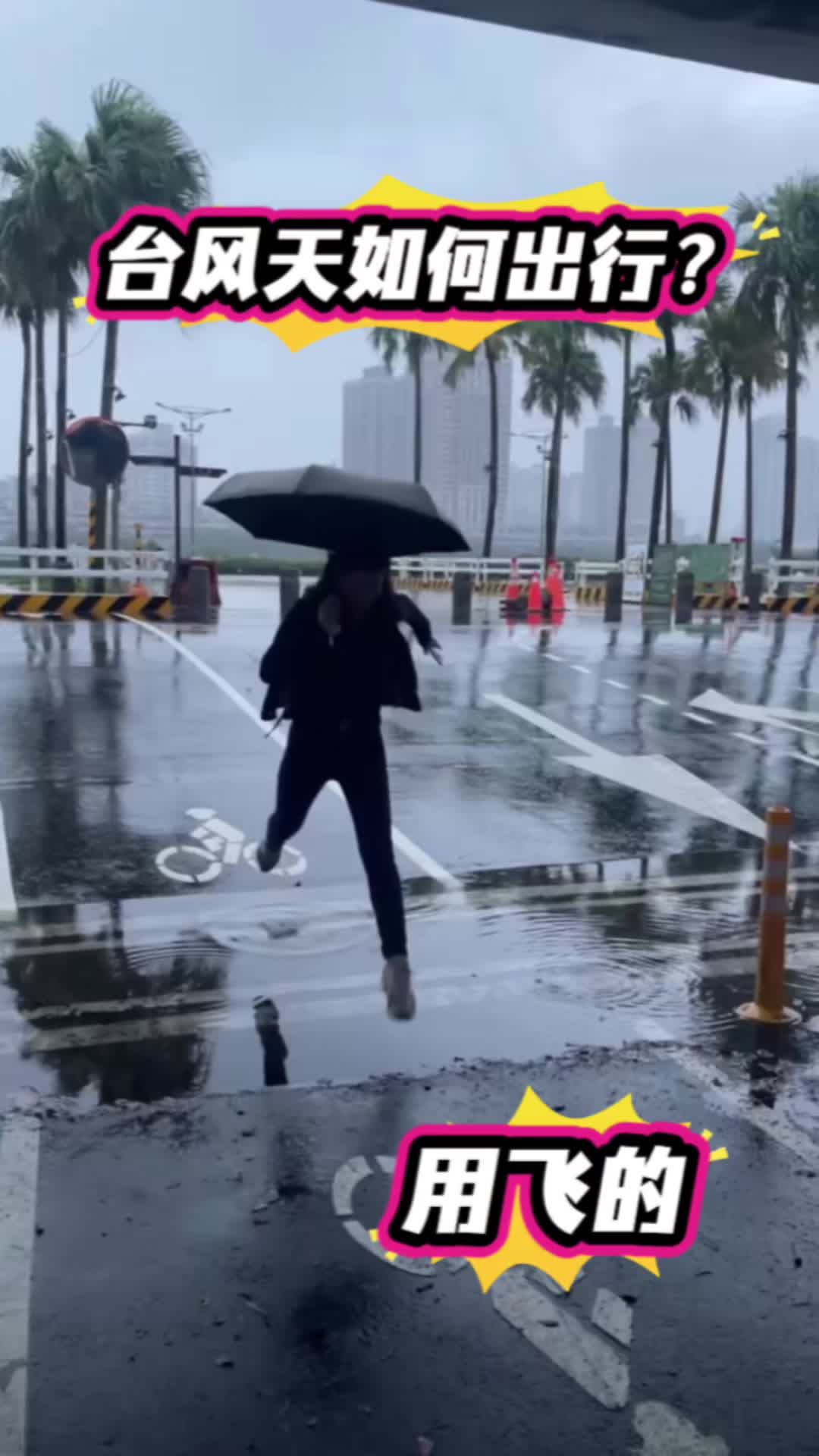 @小虎妹