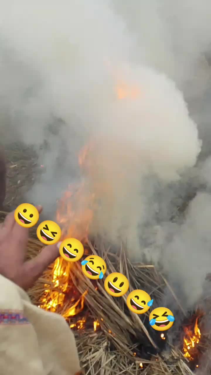 @bhai jaan