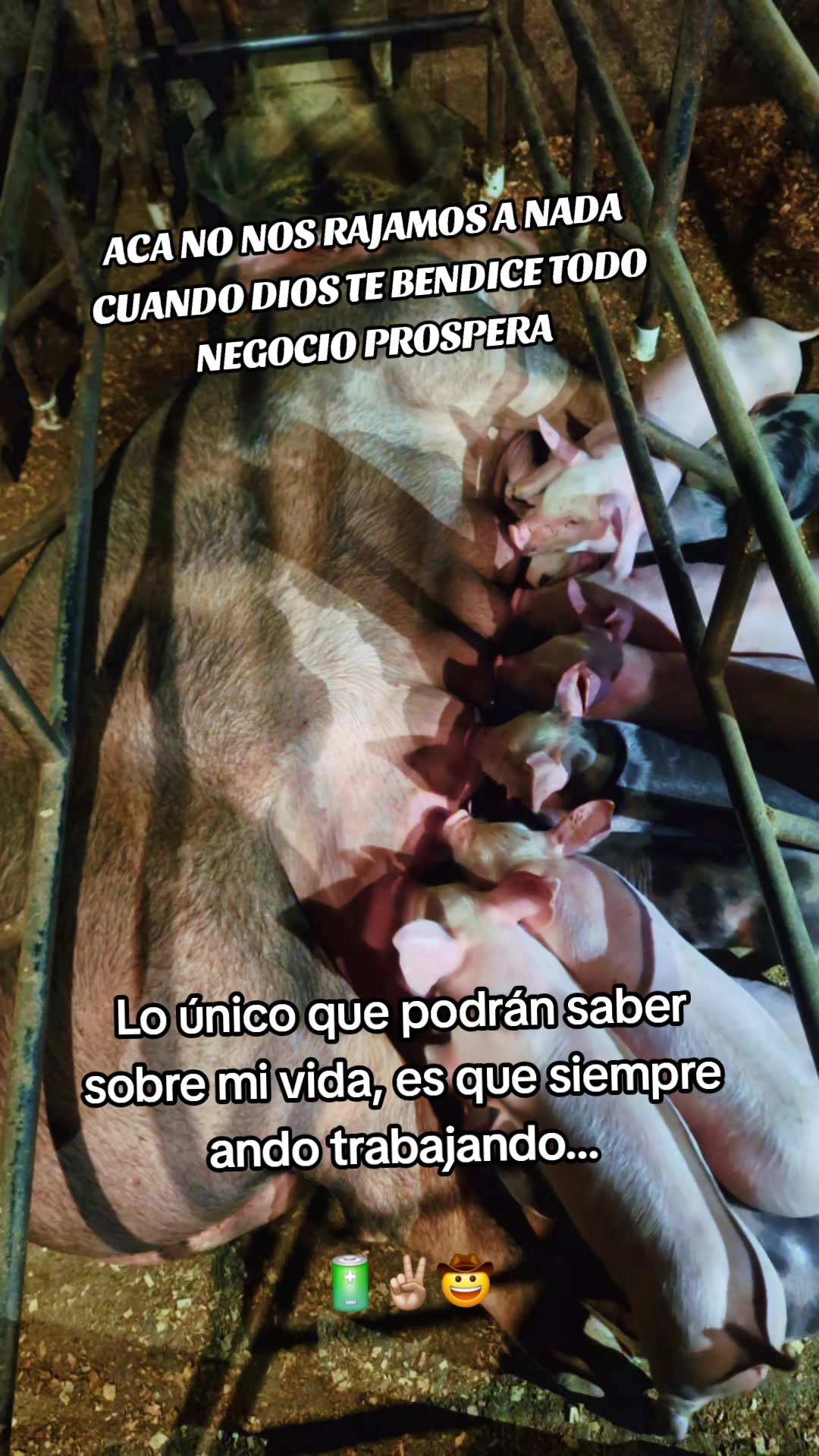 @Magali T@y