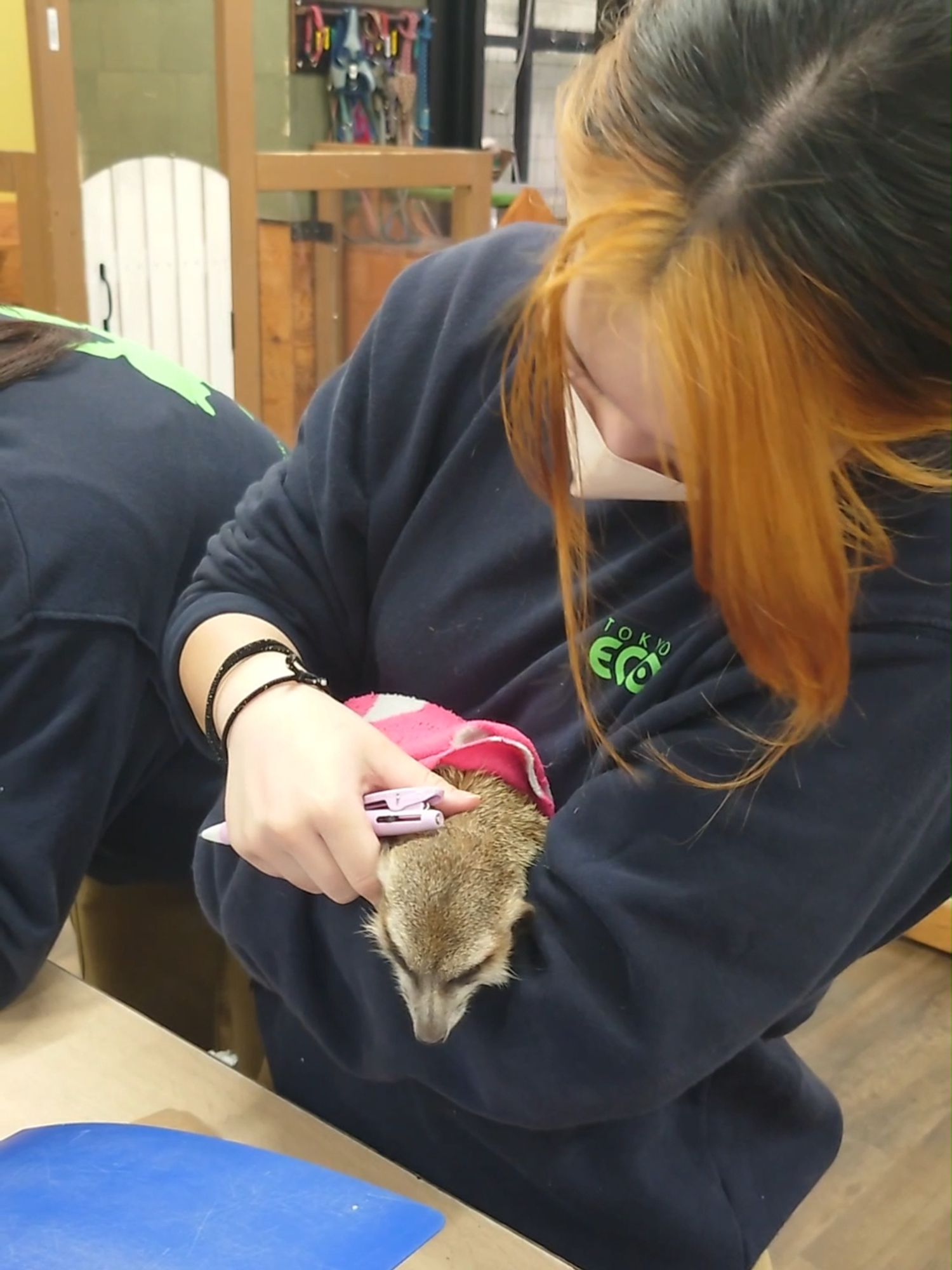 @TCA東京ECO動物海洋専門学校