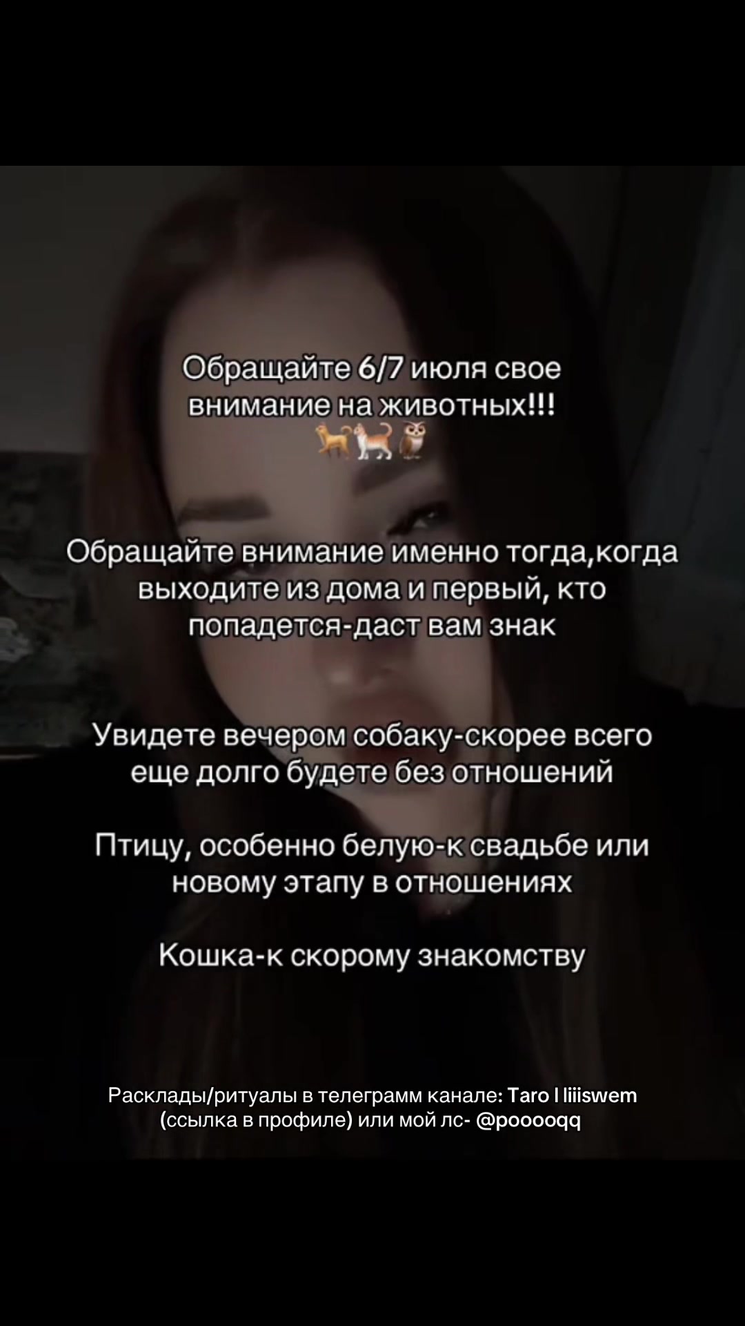 @Тгк: Таrо | liiiswem