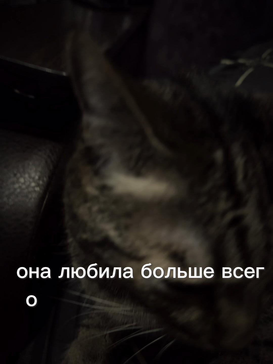 @Anastasia🧚🏻♀️