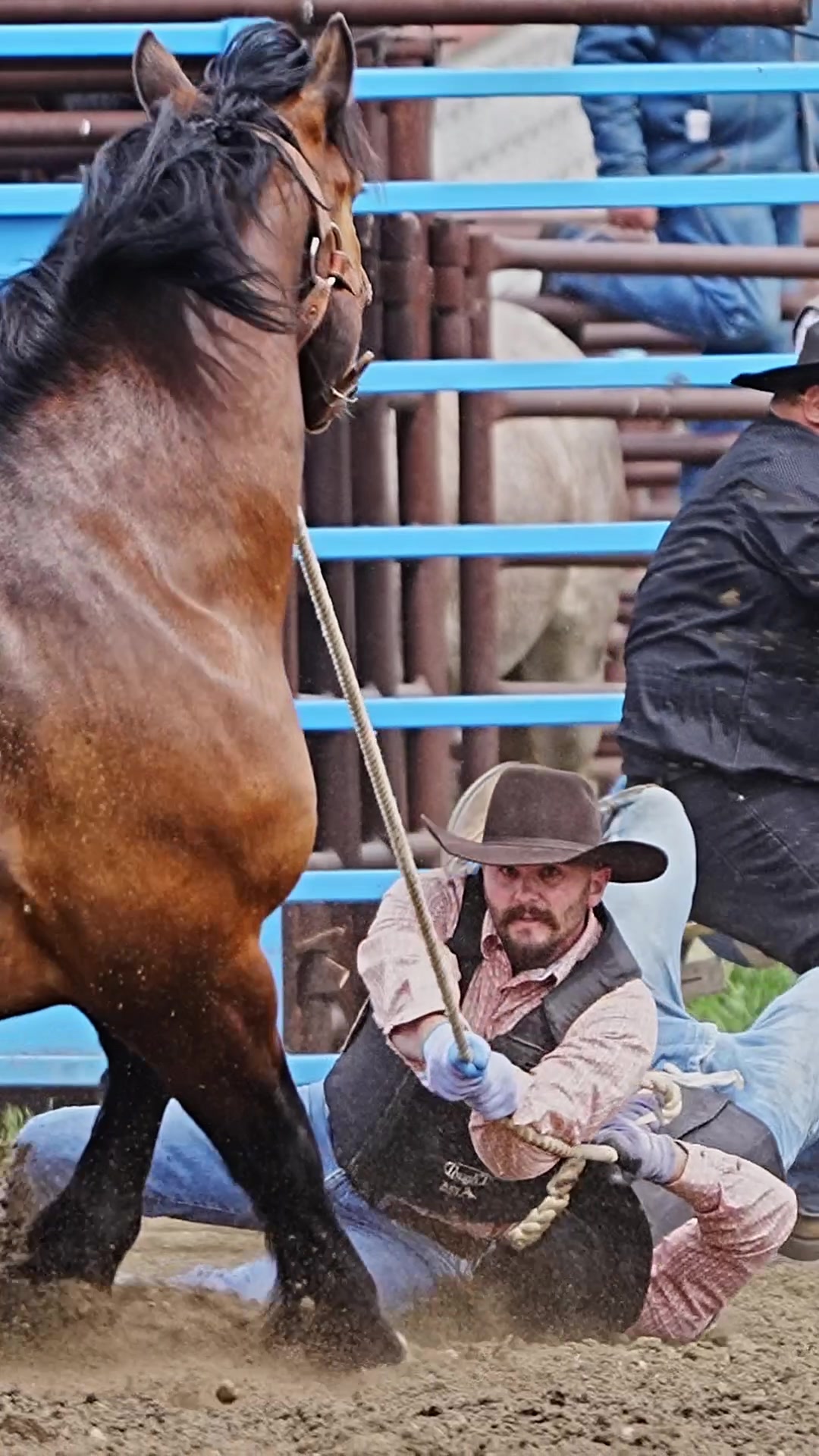 @Hanginghorses