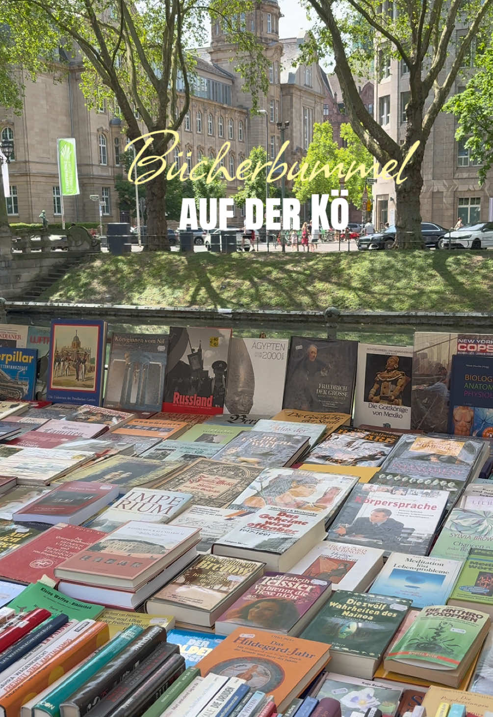 @Alina 📚✨