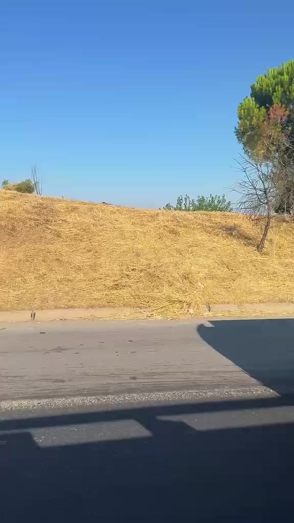 @Ateş 😎