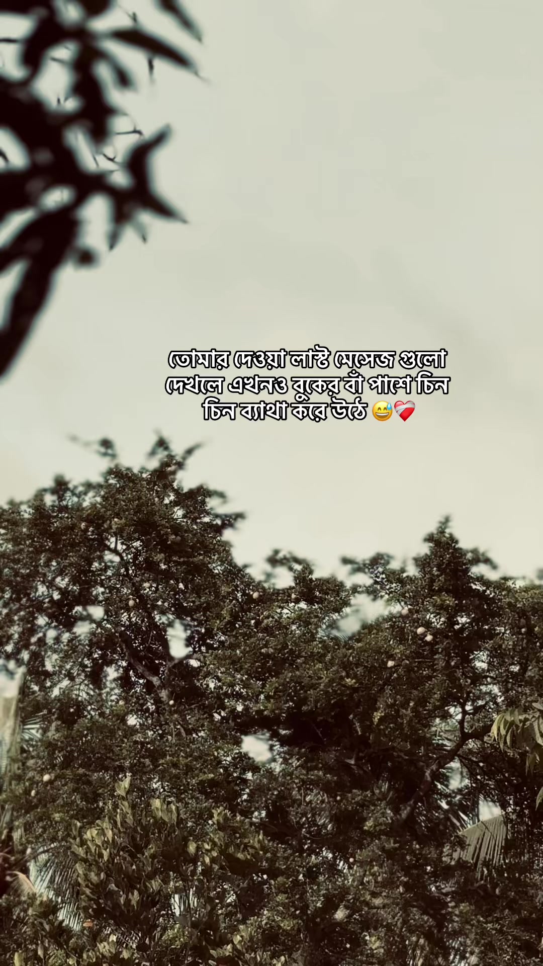@S i F a T đ¸ī¸đī¸