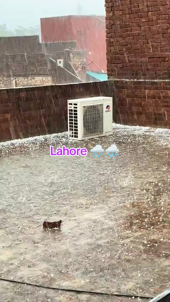 @desi boy