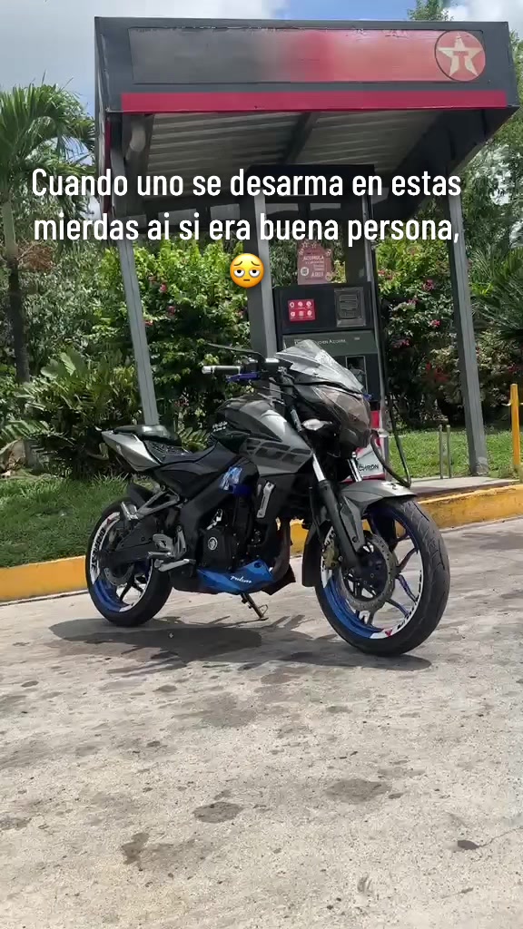 @el pana 🦥