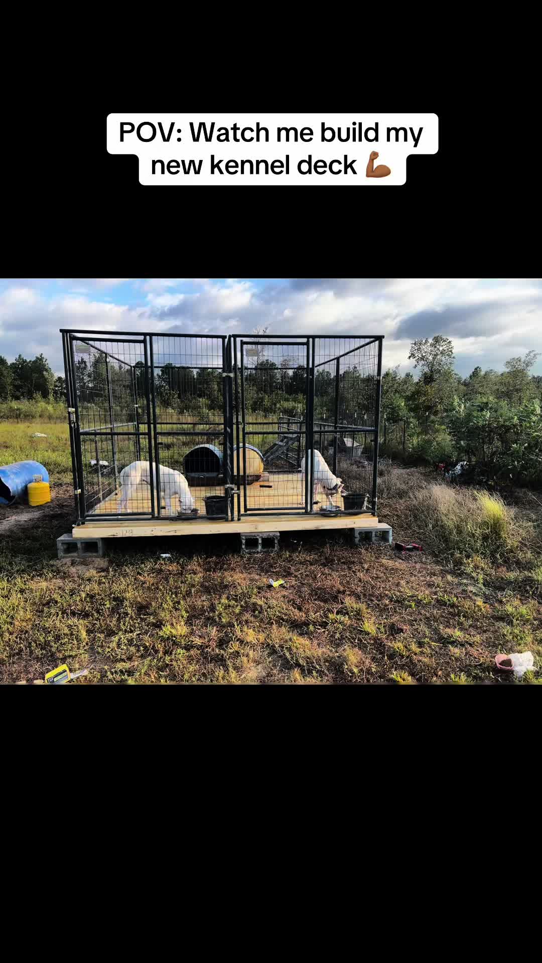 @Karolina Dreaming kennel
