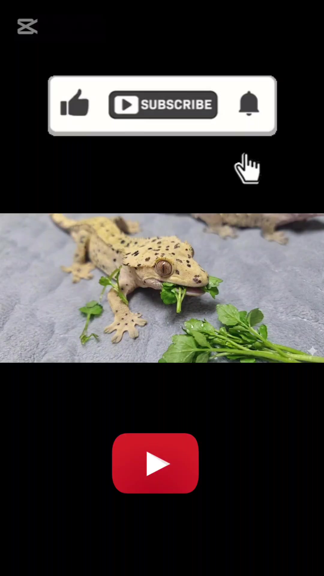 @크레크도- keulekeudo