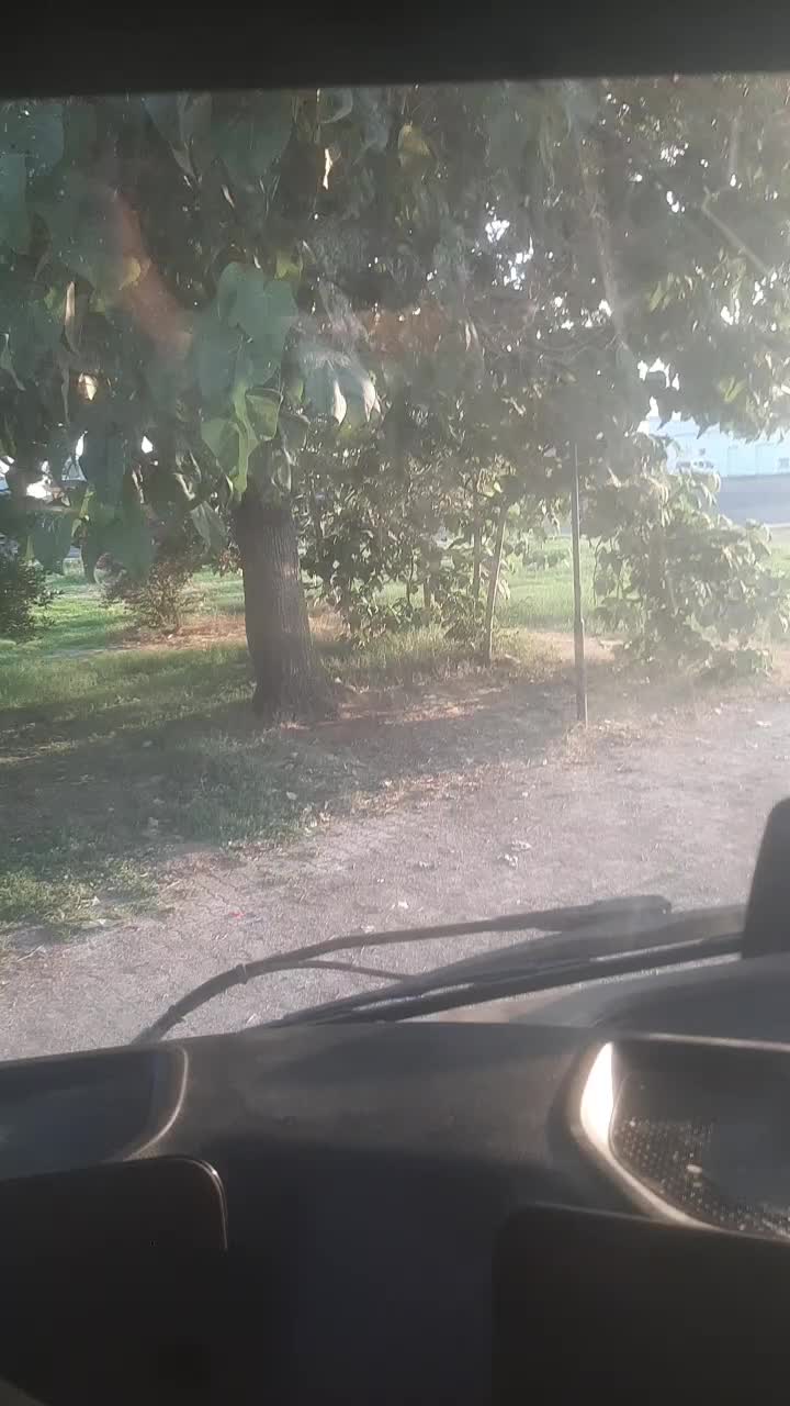 @unal ayhan