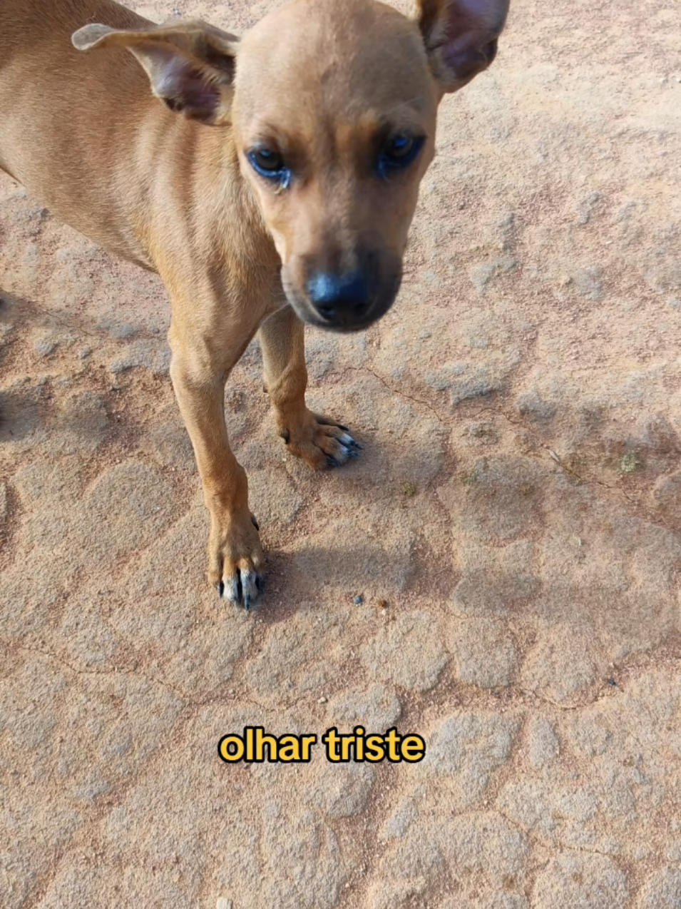 @Belinha e tiamara
