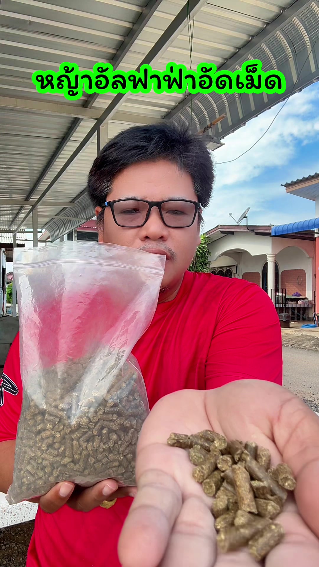 @วุดดี้ รีวิว56