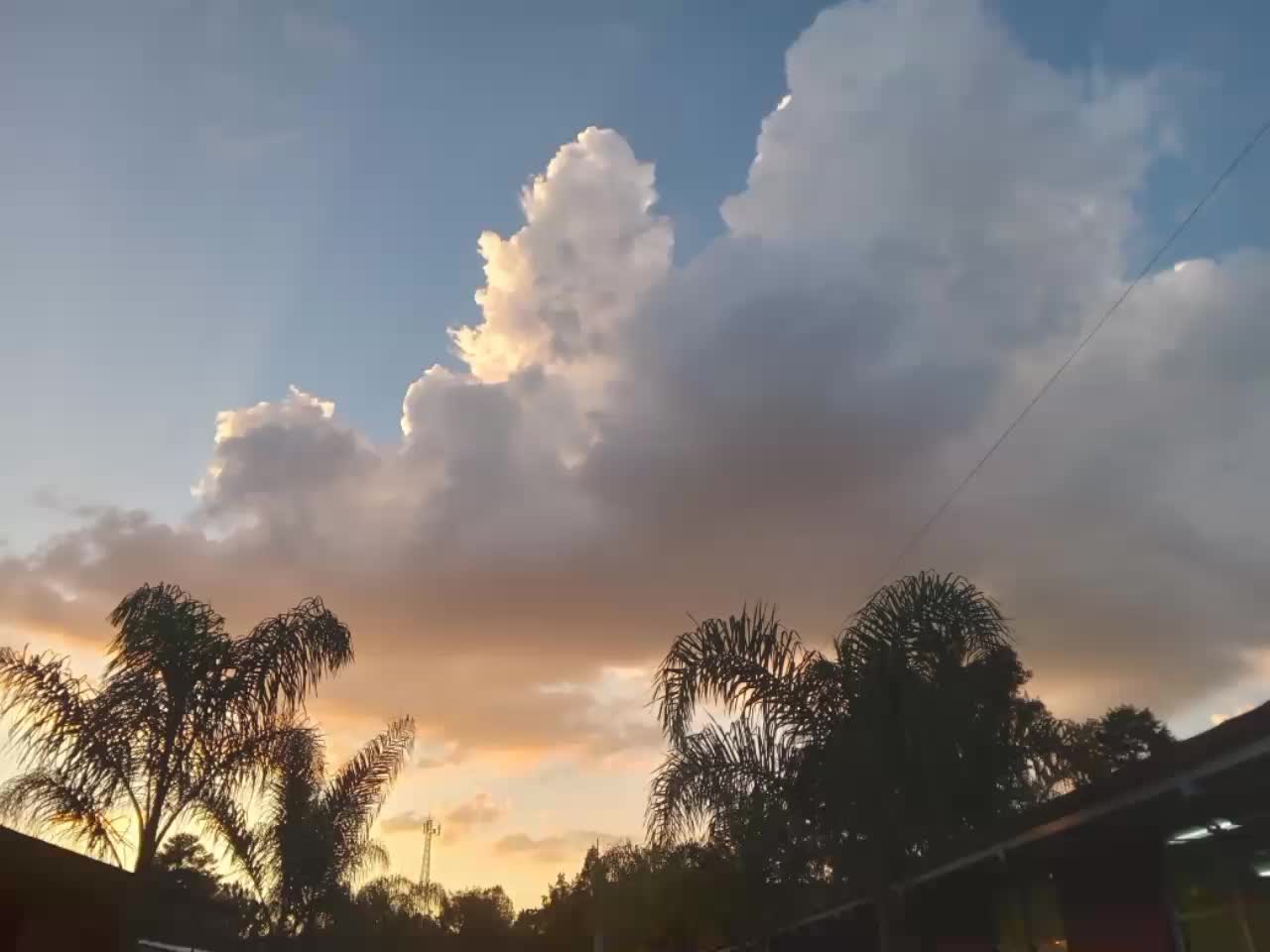 @ׄ ७ __🌷 ɦᥲᥒᥒ&iota;ᥱ ᵎᵎ࿁ .
