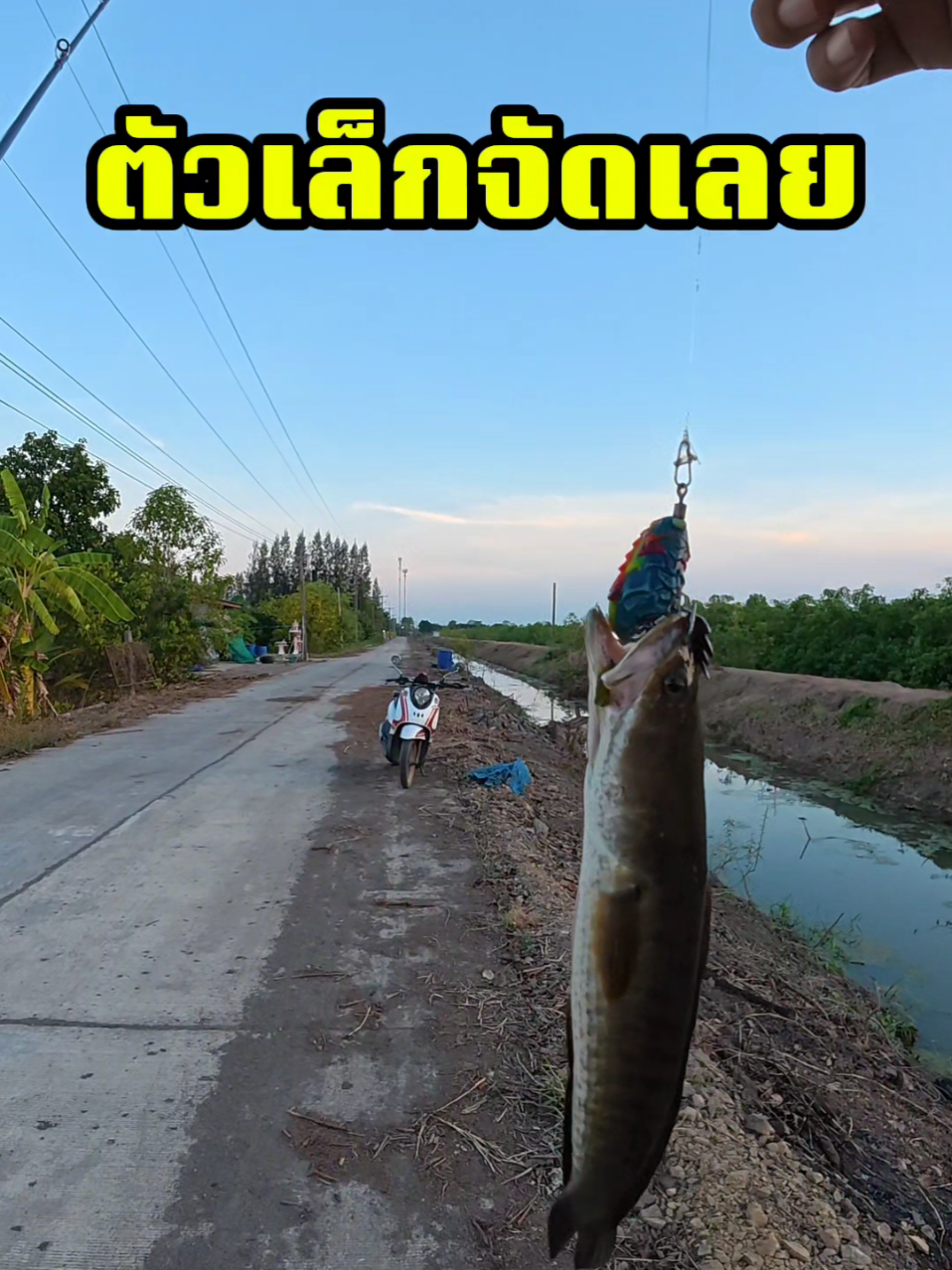 @กาเล็บโป้