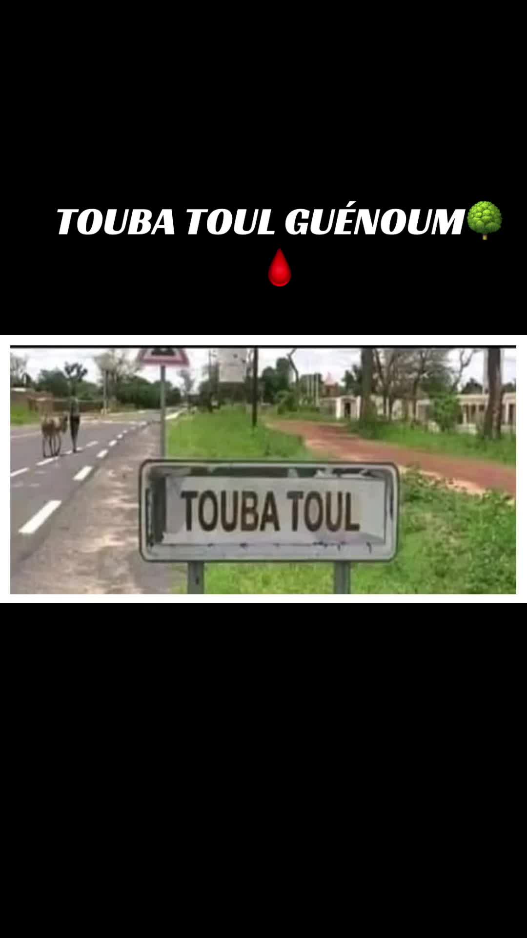 @🪴MBOLLO MOY DOLL&Eacute; KEUR LAMANE
