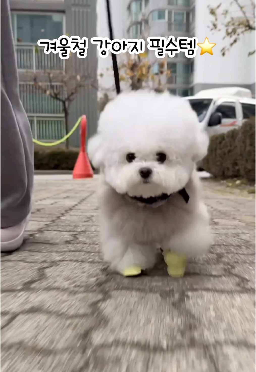 @메리하리