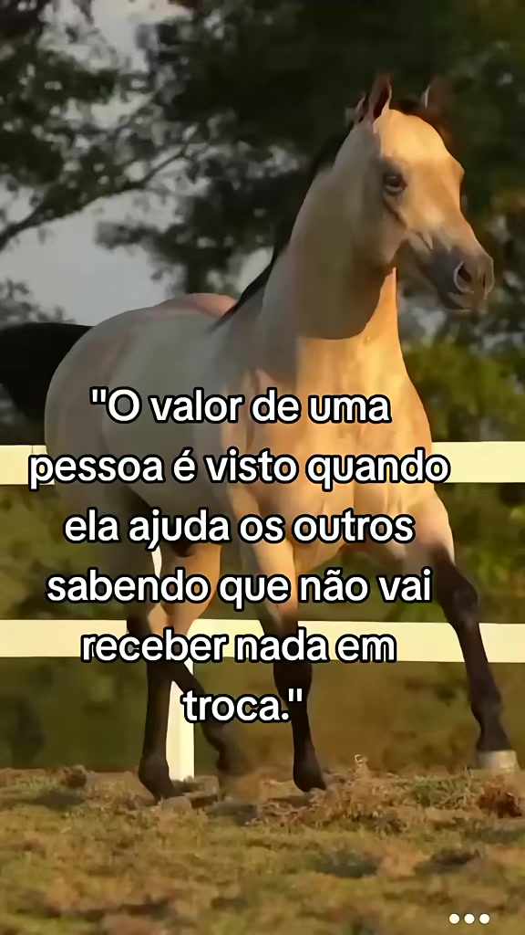 @ᑭEᗪᖇO_ᑭᗩᑌᒪO.OᖴIᑕIᗩᒪ