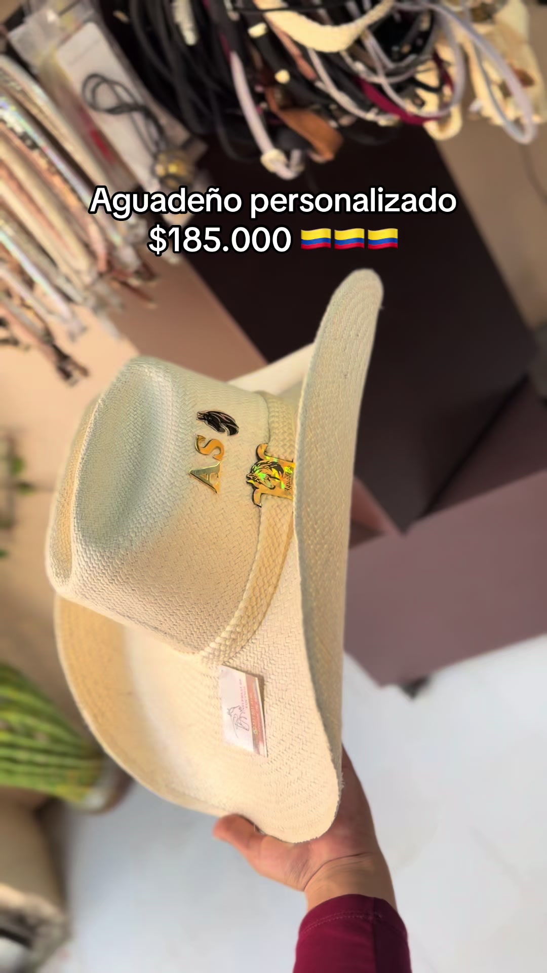 @universal_de_equinos