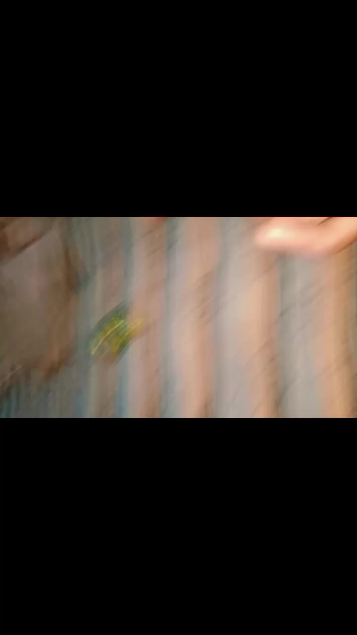 @⎝⎝✧𝑹๏ℽà𝒍à𝕥𝕥ı𝕥ű𝐝𝒆𝐛๏ℽ✧⎠⎠