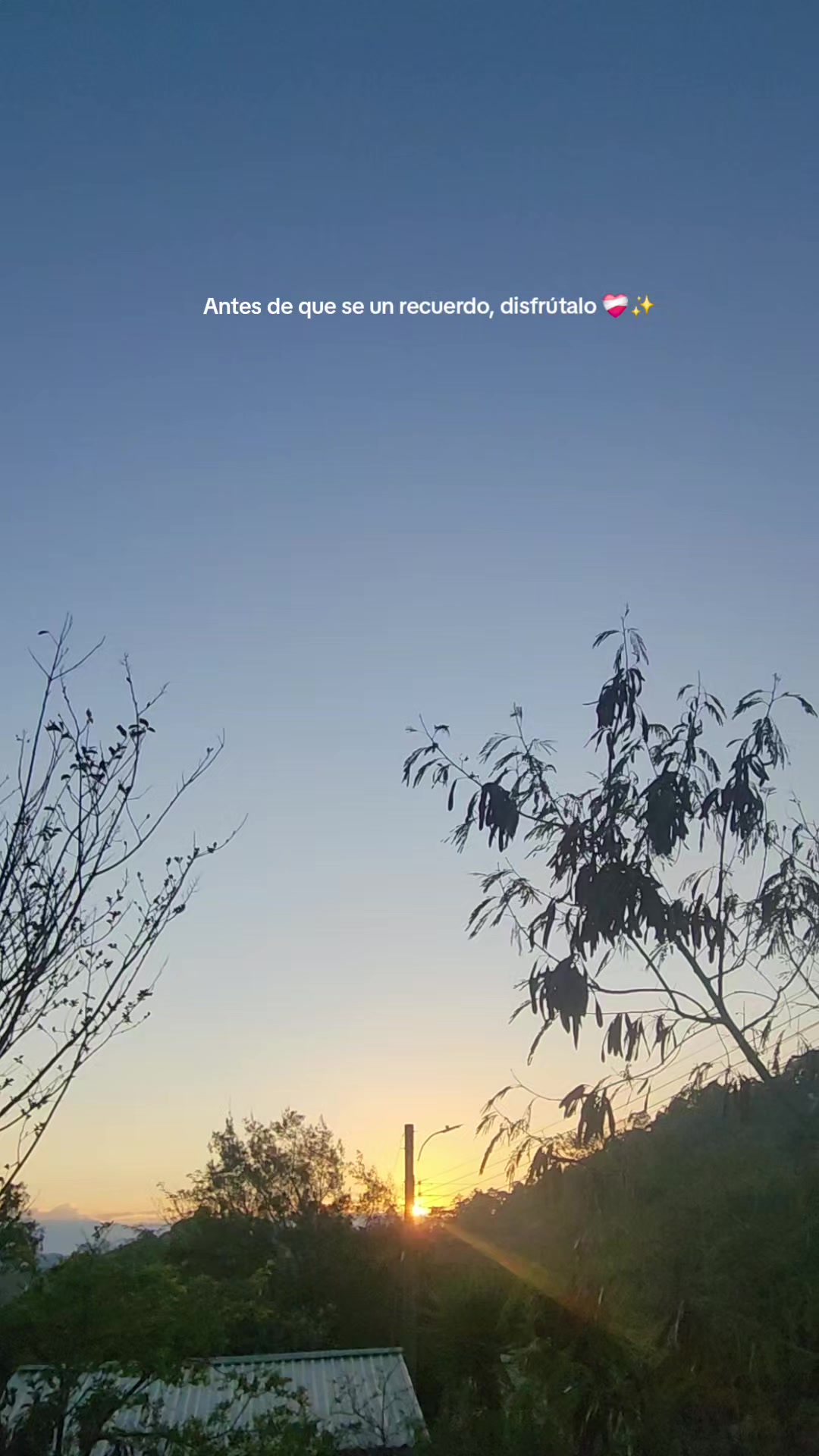@✓ Cazando Atardecer_ 🌄☀️❤️🔥