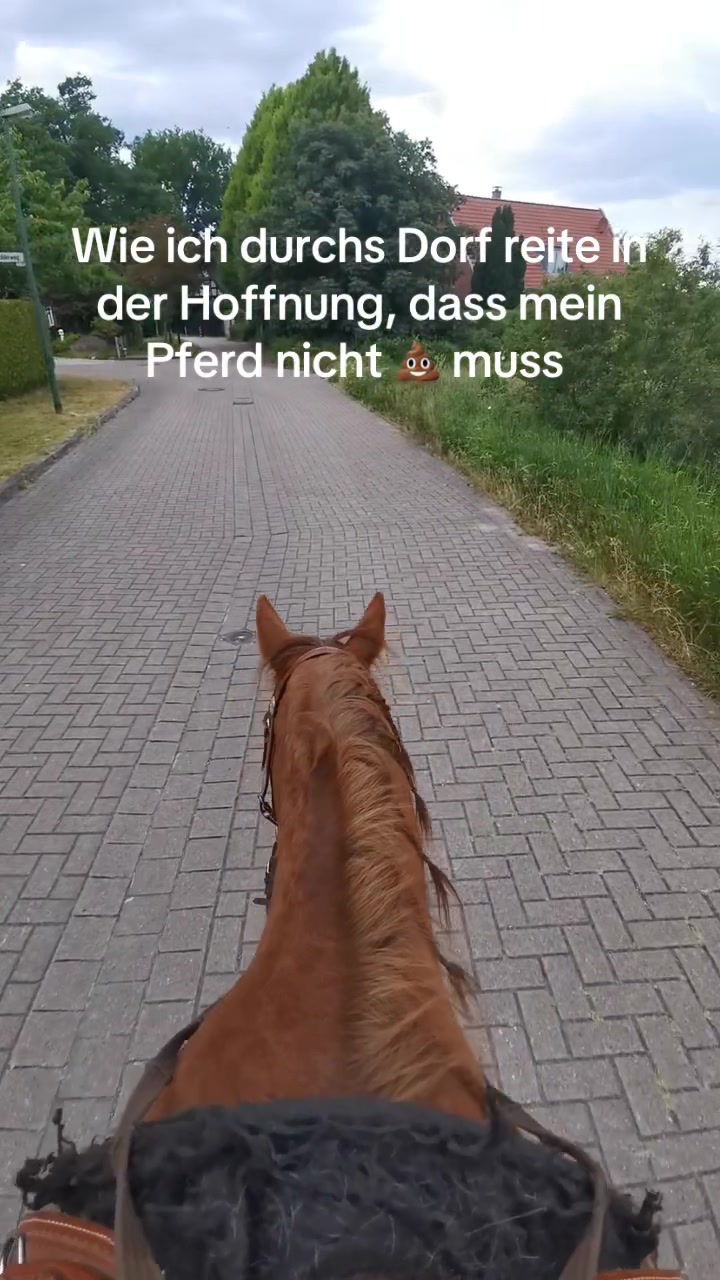 @Sophia🇩🇪
