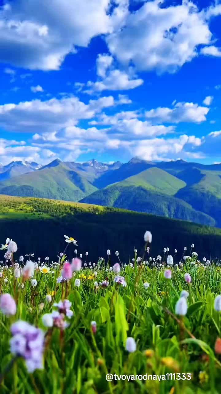 @Твоя Родная