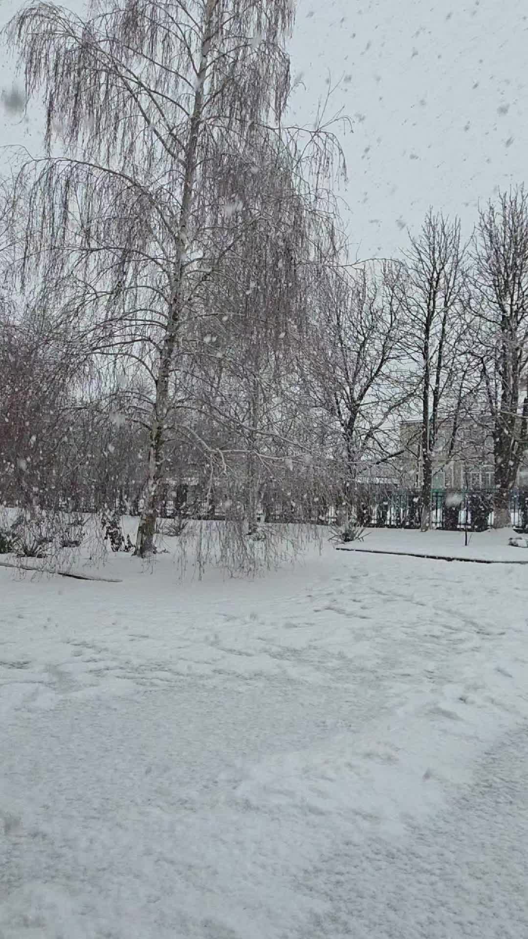 @lelya_shishkina