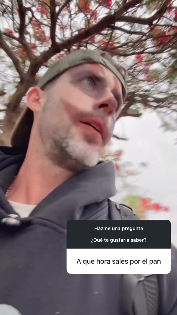 @Gustavo Galindo Navarro