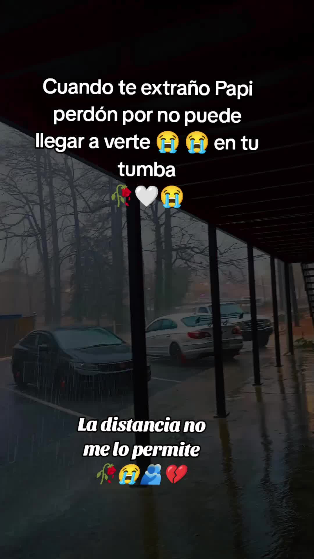 @Damiela Méndez