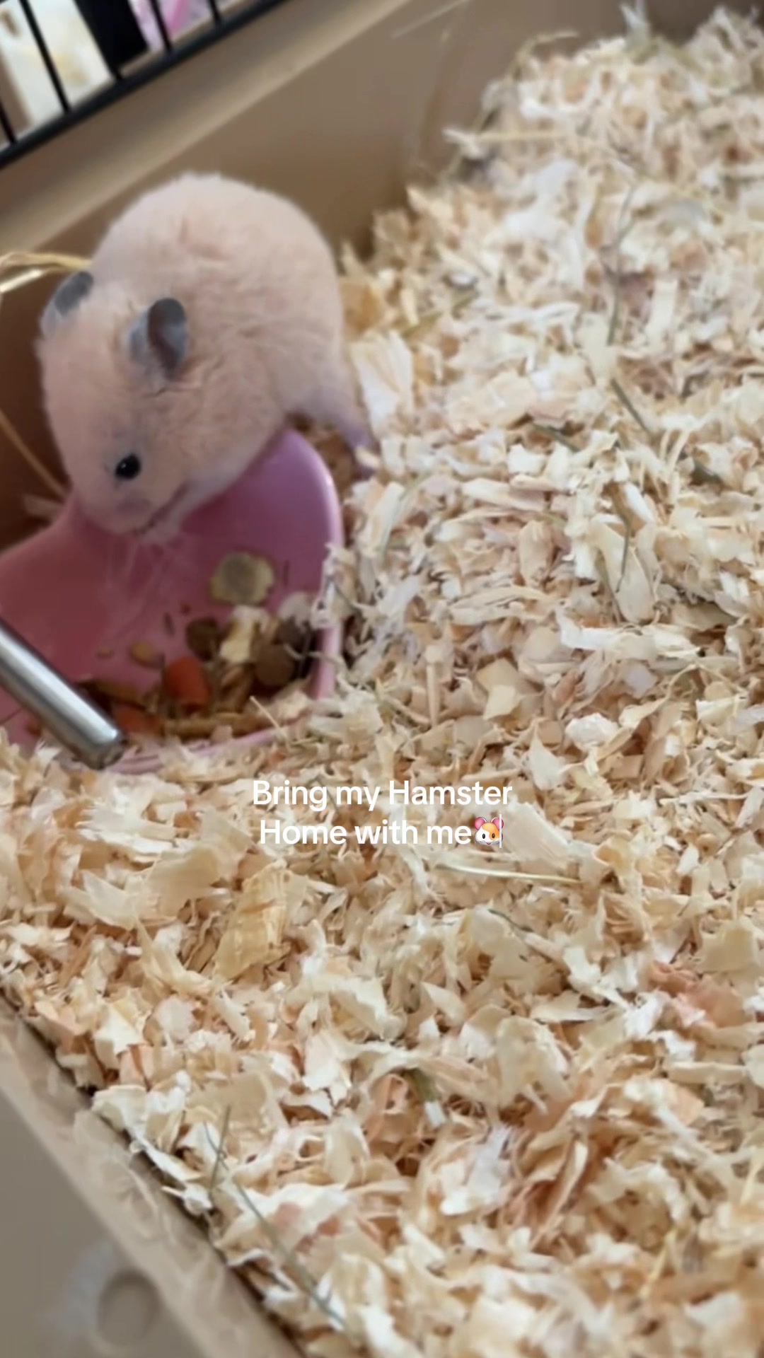 @doraluvsfood